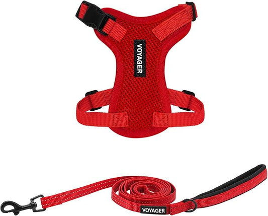 Voyager Step-in Lock Adjustable Cat Harness w. Cat Leash Combo Set with Neoprene Handle 5ft - Supports Small, Medium and Large Breed Cats by Best Pet Supplies - Red, XXXS