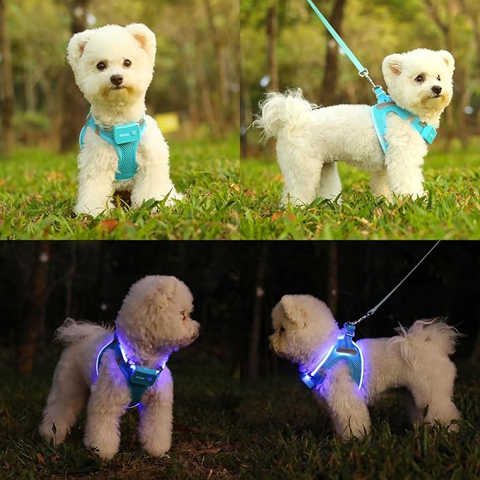 Light Up Dog Harness,LED Dog Harness Rechargeable, Lighted Dog Vest Harness for Night Walking,Reflective Safety Vest for Small Medium Large Dogs,Adjustable Soft Mesh,Blue,M