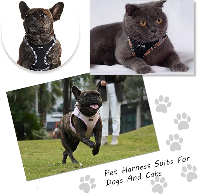 AMTOR Small Dog Harness with Leash Set, No Escape Easy Walk Puppy Harnesses for Training Walking, Step-in Reflective Soft Dogs Vest for XS S Medium Extra-Small Large Sized Dog(Pink,M)