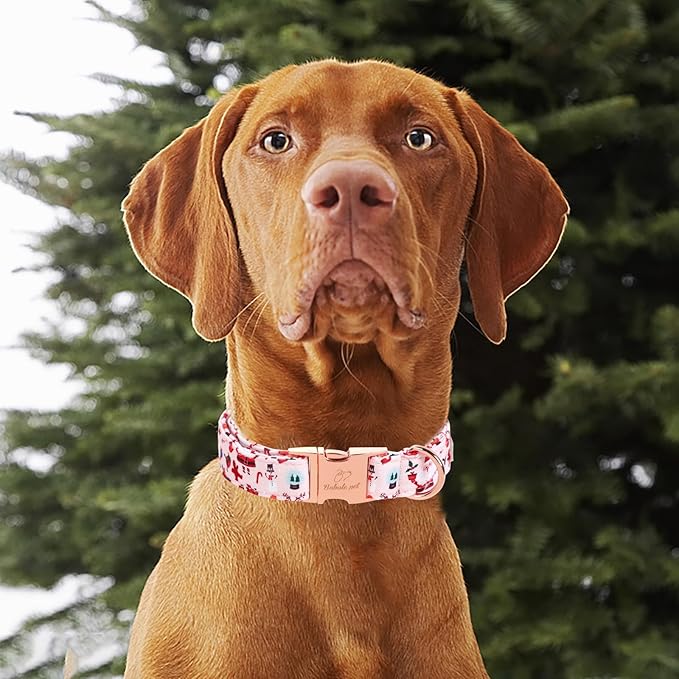 Christmas Dog Collar for Small Dog,Pink Elk Santa Claus Male Dog Collar with Safety Metal Buckle Adjustable Puppy Collars for Medium Large Boy&Girl Dog,S, Neck 10"-16"