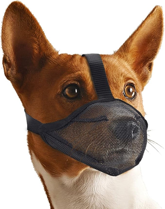 Whongkidz Dog Muzzle for Small Dogs Biting Grooming Vet Visiting, Air Mesh Soft Dog Mouth Guard, Full-Covered with Adjustable Strap Allow Drinking Breathable Basket Muzzle (Black, S)