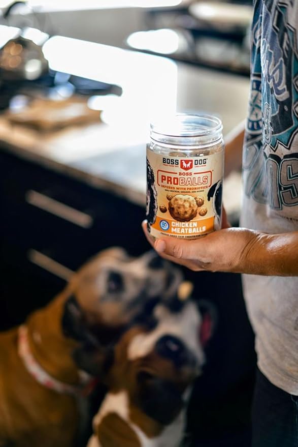 Boss Proballs Meatball Treats for Dogs & Cat, Chicken Recipe, 6 oz Jar