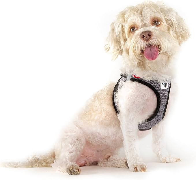 Vest Harness Merino curli Clasp Black XS