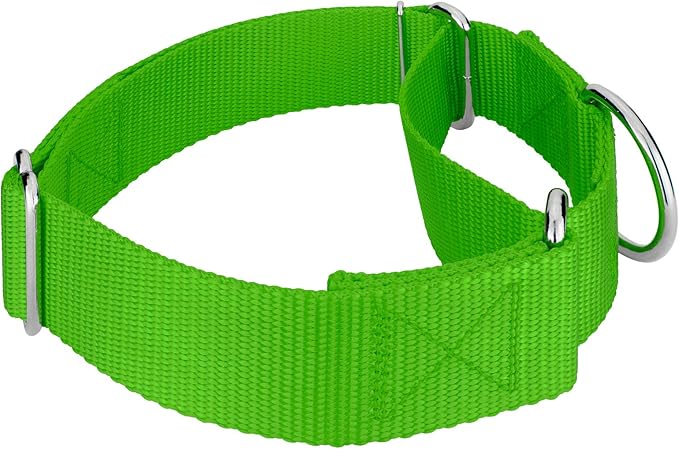 Country Brook Petz 1 1/2 Inch Martingale Heavy Duty Nylon Adjustable Dog Collar for Small, Medium, Large Breeds - Vibrant 17 Color Selection (Hot Lime Green, Extra Large)