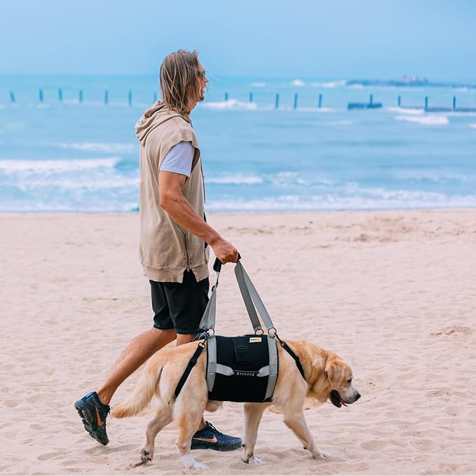 Dog Lift Harness for Large Dogs,Full Body Dog Sling Carrier with Handle,for Up Stairs/Back Legs Support/Dogs Joint Injuries/Arthritis/Nail Clipping