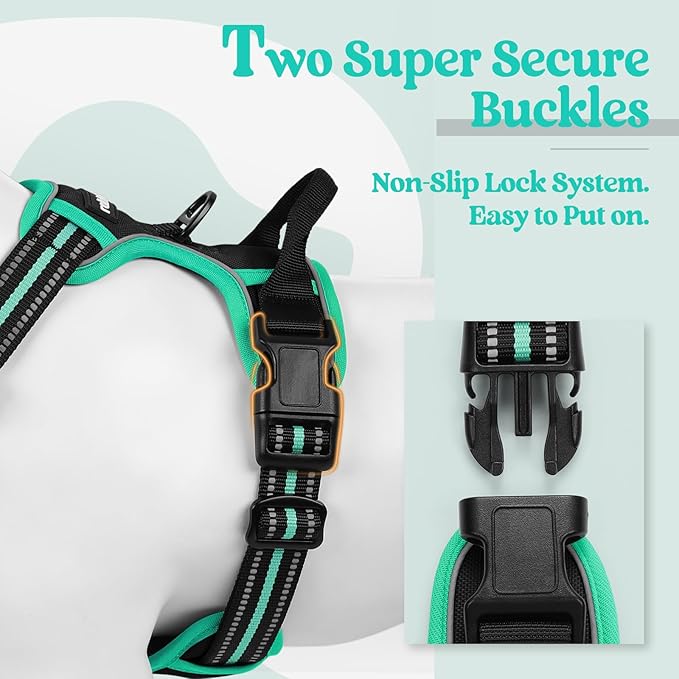 rabbitgoo Dog Harness, No-Pull Pet Harness with 2 Leash Clips, Adjustable Soft Padded Dog Vest, Reflective No-Choke Pet Oxford Vest with Easy Control Handle for Large Dogs, Black & Turquoise, L