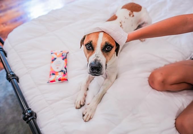 Pet Life Unlimited Pet Wipes for Dogs, Dog Cleaning Wipes - Plant-Based Dog Wipes with Moisturizing Aloe Leaf & Calendula - Made in The USA - Bergamot Apple Scent Dog Grooming Wipes - 40ct (Pack of 3)