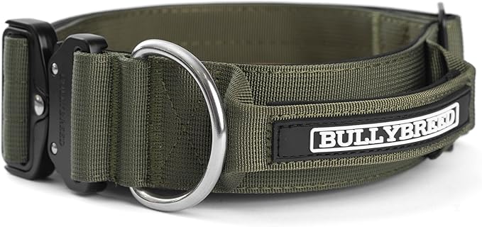 BULLYBREED Premium Dog Colar with Handle, Heavy Duty Dog Collar, Tactical Dog Collar, Quick-Release Metal Buckle, Thick Dog Collar, Dog Collar for Medium Dogs, Dog Collar for Large Dogs (Green, Large)