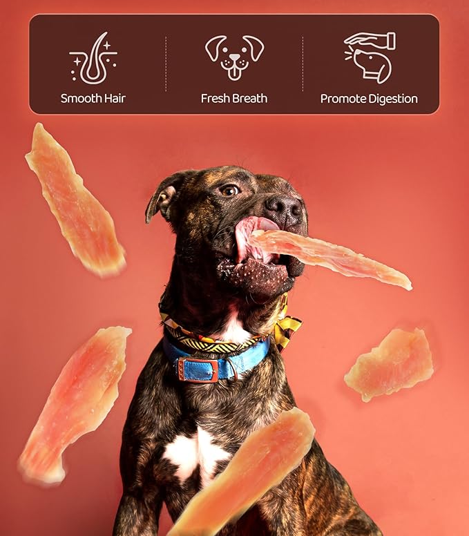 Chicken Jerky Dog Treats for Dogs 16 OZ 1LBS, Rawhide-Free, Made with Real Breast, Long-Lasting Treats, Dog Training Reward Snacks Dog Chewy Treats