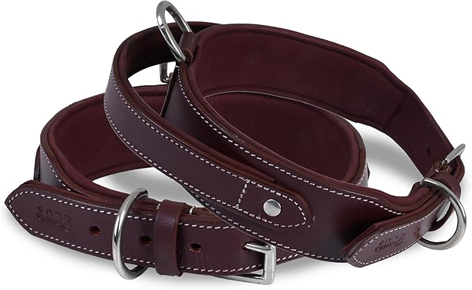 Leather Dog Collar with Handle, 2 Inch Wide Saddle Grade Cherry Leather Dog Collar for Large Dogs | Heavy Duty, Comfortable, Inner Soft Padded | (L (Fit Neck Size 18.5"-22.5"), Cherry)