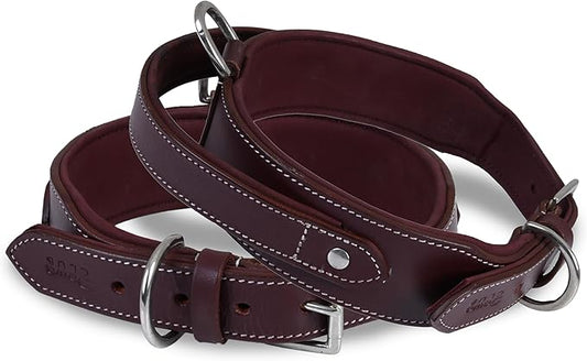 Leather Dog Collar with Handle, 2 Inch Wide Saddle Grade Cherry Leather Dog Collar for Extra Large Dogs | Heavy Duty, Comfortable, Inner Soft Padded | (XL (Fit Neck Size 22"-26"), Cherry)