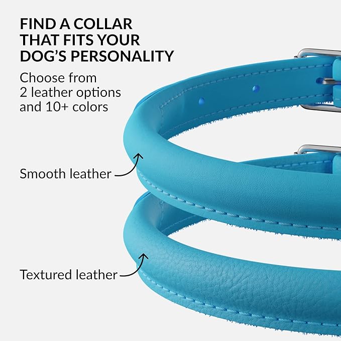 CollarDirect Rolled Leather Dog Collar, Soft Padded Round Puppy Collar, Handmade Genuine Leather Collar Dog Small Large Cat Collars 13 Colors (20-23 Inch, Light Blue Smooth)