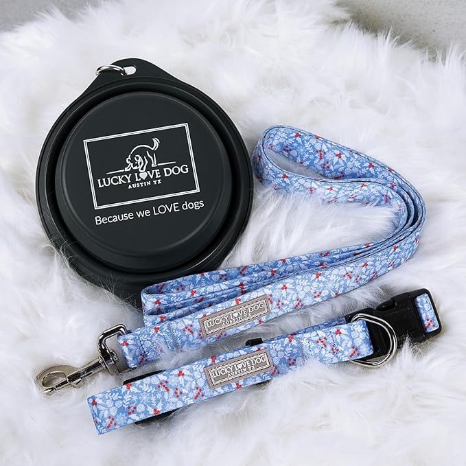 Lucky Love Dog Winter Themed Martingale Collar, Premium No Slip Collar, Snowflake Christmas Martingale Collar for Large Dogs - (Winterblue No Slip, L)