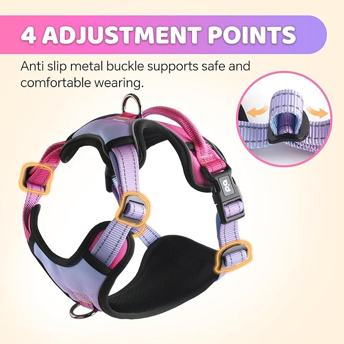 QQPETS No Pull Dog Harness with 2 Leash Clips，Adjustable Soft Padded Dog Vest, Reflective Outdoor Pet Oxford Vest with Easy Control Handle for Small to Large Dogs Walking Training