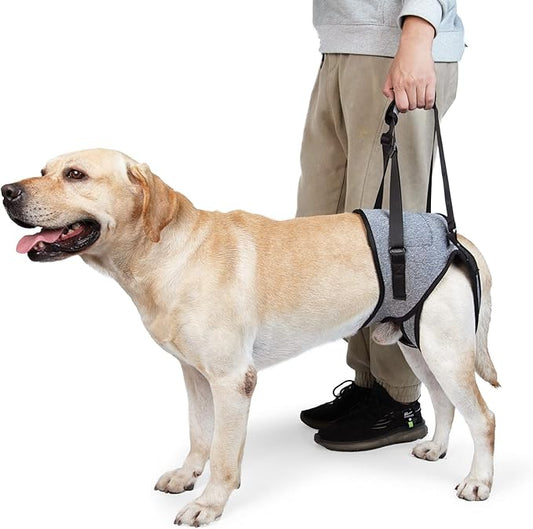 Dotoner Dog Sling for Large Dogs Hind Leg Support to Help Rehabilitate The Hind Limbs of Elderly Dogs with Weak Hind Legs Disabilities and Injuries Dog Harness Helps Arthritis ACL Recovery（S,Grey）
