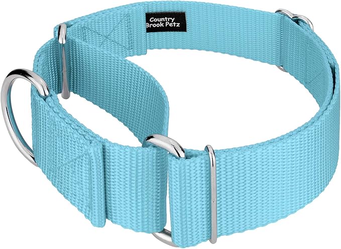 Country Brook Petz 1 1/2 Inch Martingale Heavy Duty Nylon Adjustable Dog Collar for Small, Medium, Large Breeds - Vibrant 17 Color Selection (Ocean Blue, Extra Large)