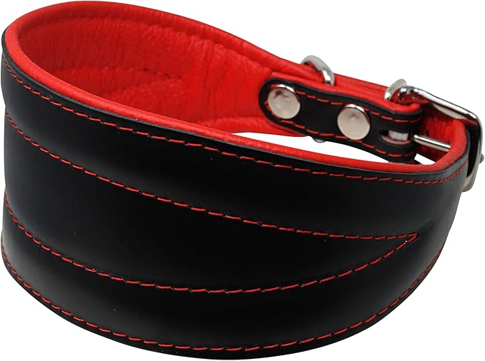 Real Leather Extra Wide Padded Tapered Dog Collar Glossy Black Greyhound Saluki Deerhound Lurcher Whippet Dachshund (13.25"-15.25" Neck; 2.5" Wide, Red)
