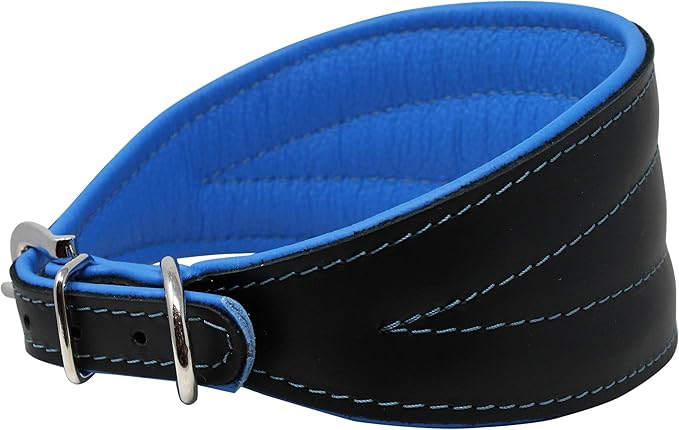 Real Leather Extra Wide Padded Tapered Dog Collar Glossy Black Greyhound Saluki Deerhound Lurcher Whippet Dachshund (16.75"-20" Neck; 3" Wide, Blue)