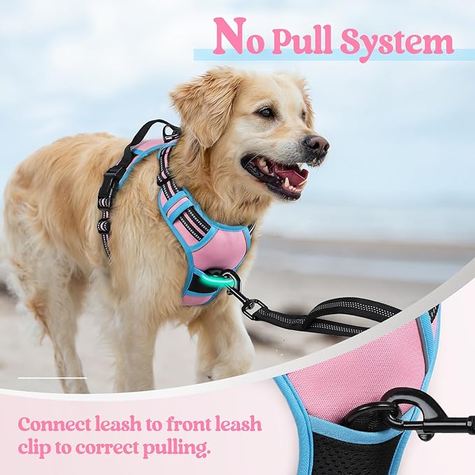 rabbitgoo Dog Harness, No-Pull Pet Harness with 2 Leash Clips, Adjustable Soft Padded Dog Vest, Reflective No-Choke Pet Oxford Vest with Easy Control Handle for Large Dogs, Pink & Blue, S