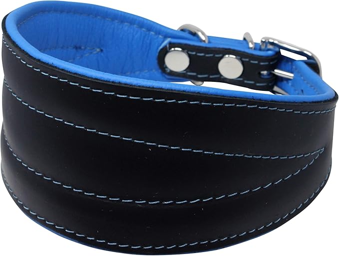 Real Leather Extra Wide Padded Tapered Dog Collar Glossy Black Greyhound Saluki Deerhound Lurcher Whippet Dachshund (10"-11.25" Neck; 2" Wide, Blue)