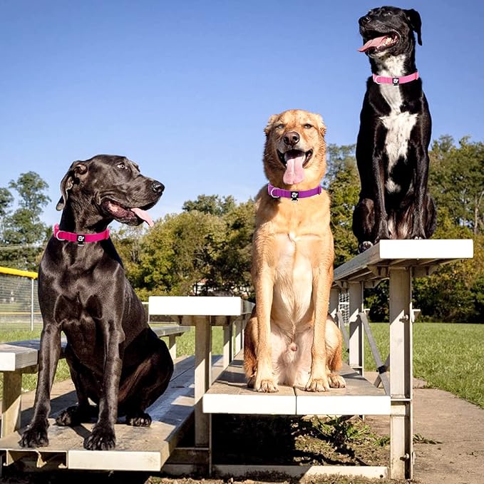 azuza 3 Pack Dog Collars Comfortable and Adjustable Nylon Dog Collars for Large Dogs, L (18-26inch)， Pink, Hot Pink and Purple