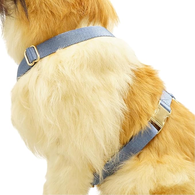 Nylon No Pull Dog Harness with Gold Metal Buckles,Easy Walking and Training Dog Harness (Air Blue, M)