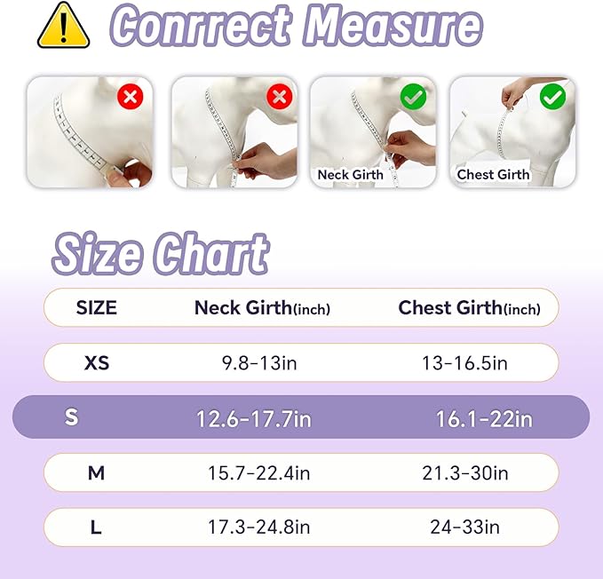 Dog Harness Leash Set, No Pull Adjustable Halter Cute Comfort Padded Handle for Medium Sized Large Small Dogs Walking Training Running with Reflective（Small,Purple）