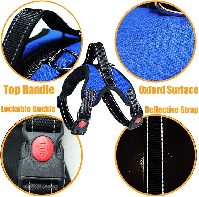 No Pull Dog Harness, Breathable Adjustable Comfort, Free Leash Included, for Small Medium Large Dog, Best for Training Walking Green XS