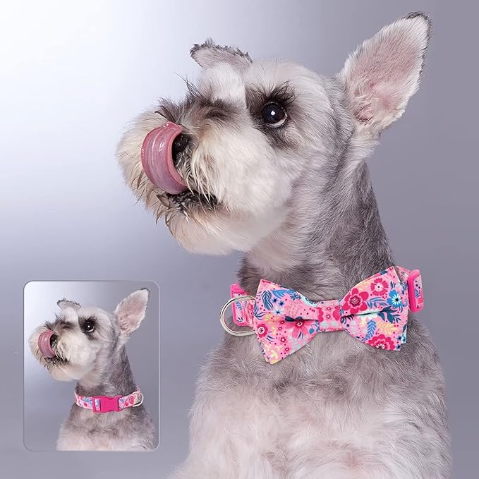 Didog Floral Dog Collar with Bow, Cute Girl Dog Collars with Detachable Bowtie, Soft & Comfy Spring Summer Dog Collar for Small Medium Large Dogs Gift Holiday, Hot Pink, M