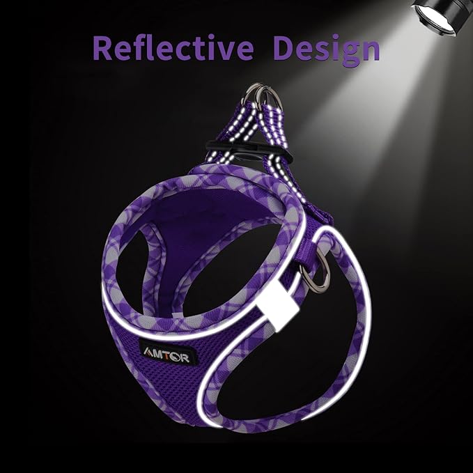 AMTOR Small Dog Harness with Leash Set, No Escape Easy Walk Puppy Harnesses for Training Walking, Step-in Reflective Soft Dogs Vest for XS S Medium Extra-Small Large Sized Dog(Purple,XXS)