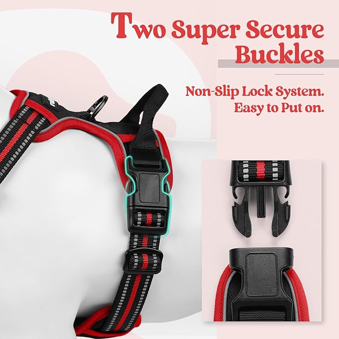 rabbitgoo Dog Harness, No-Pull Pet Harness with 2 Leash Clips, Adjustable Soft Padded Dog Vest, Reflective No-Choke Pet Oxford Vest with Easy Control Handle for Large Dogs, Black & Red, S