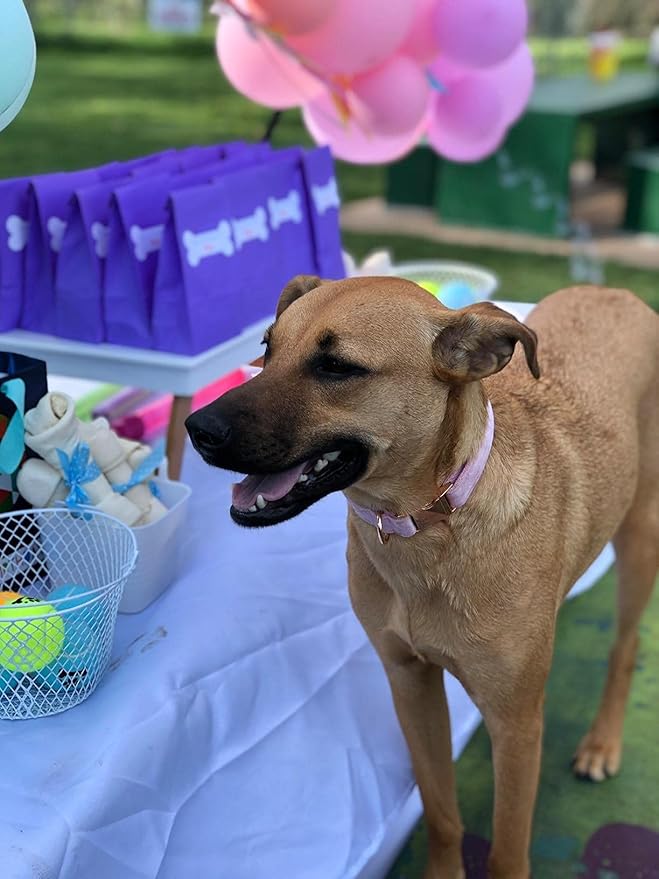 ARING PET Velvet Dog Collars with Bow tie, Bowtie Dog Collar, Cute Pink Collar for Girl and Boy Dogs,X-Small.