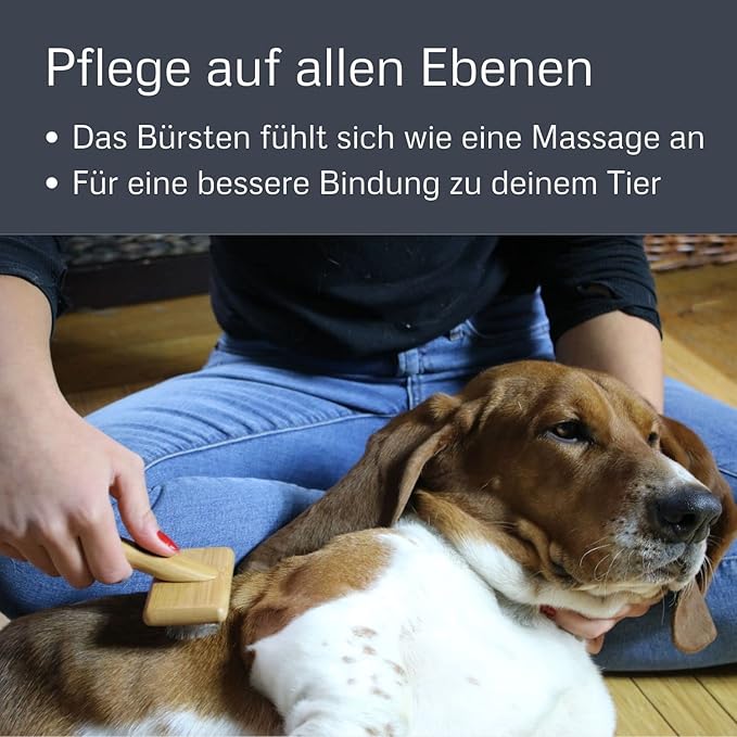 Slicker Brush with Stainless Steel Pins for Pets, Medium