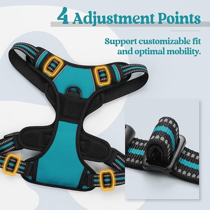 rabbitgoo Dog Harness, No-Pull Pet Harness with 2 Leash Clips, Adjustable Soft Padded Dog Vest, Reflective No-Choke Pet Oxford Vest with Easy Control Handle for Large Dogs, Teal, M