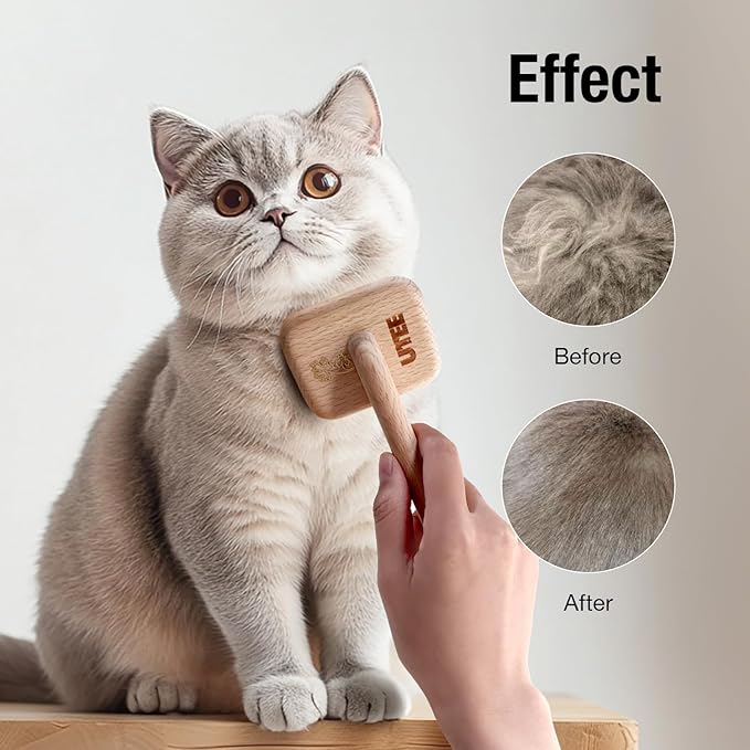 Slicker Brush Groom Like a Professinal Stainless Steel Pins, Lightweight Beech Wood Body, Ground and Polished Tips, Small Pet Bruch