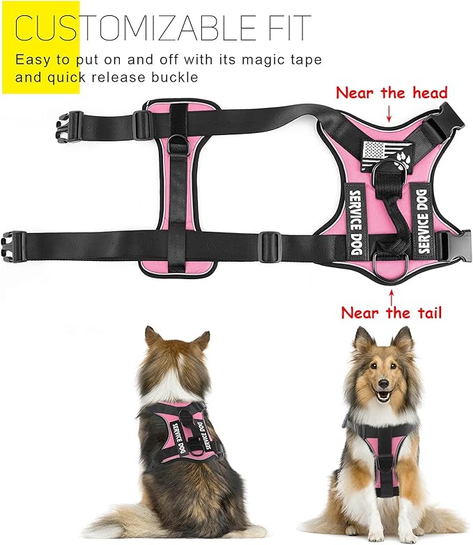 Demigreat Service Dog Harness, Reflective Dog Vest Harness with 5 PCS Patches, Adjustable Soft Oxford Pet Harness, Inner Layer Mesh, Easy to Control for Dogs