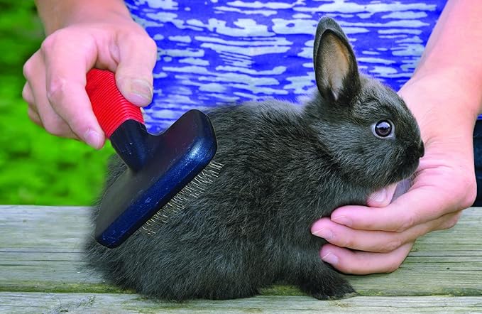 Lixit Grooming Kits For Rabbits, Guinea Pigs and other Small Animals. (4 Piece Kit)