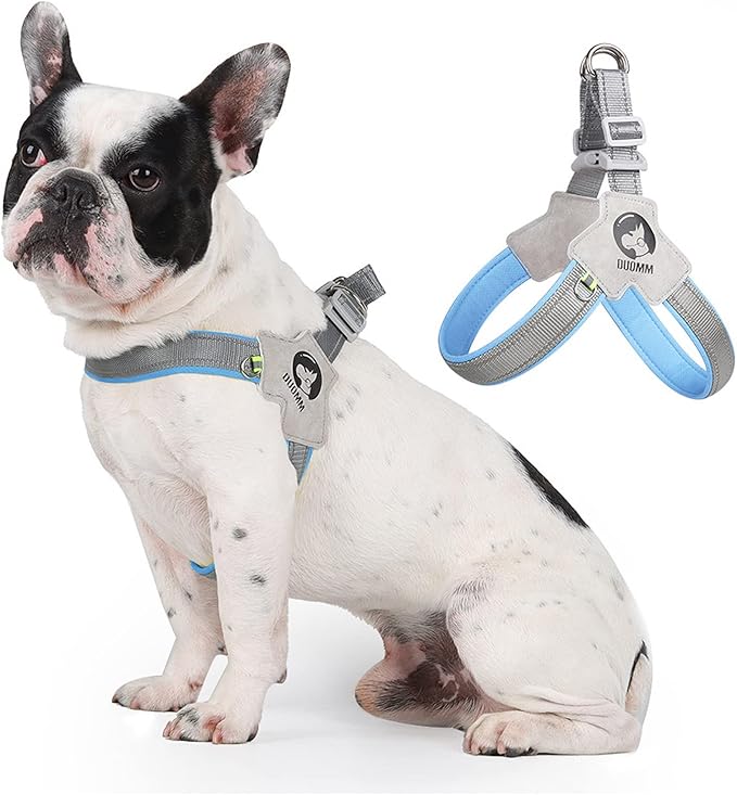 Dog Harness Y-Shaped Harness Breathable Heat Dissipation Easy to Wear Night Reflective Signs for Small and Large Dogs to Wear (Blue,M Bust 18in-22in)