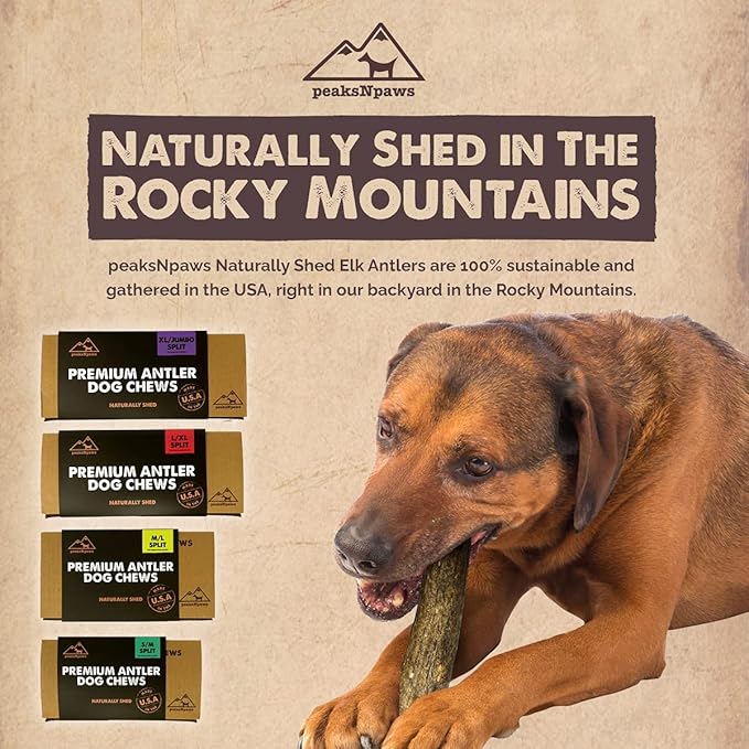 Premium Split Elk Antlers for Dogs, Dog Treats Large Breed, Made in USA, Natural Dog Chews for Aggressive Chewers, Long Lasting Pet Treat for Dogs Under 80 lbs, 2 Large/XL Antler Pack