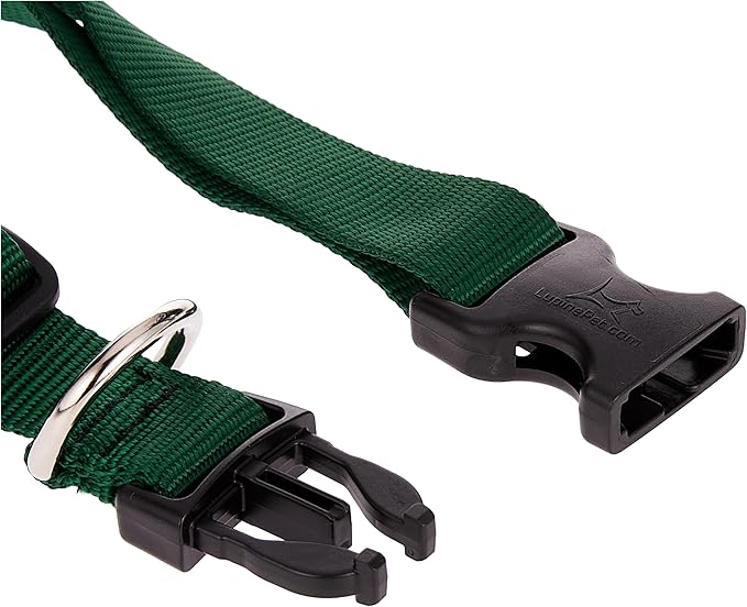 LupinePet Basics 1" Green 16-28" Adjustable Collar for Large Dogs