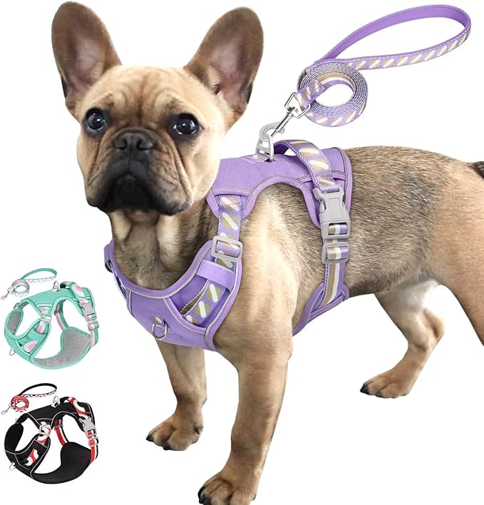 No Pull Dog Harness and Leash Set,Reflective Dog Harness with Easy Control Soft Handle,Adjustable and Comfortable for Easy Walking,Fit Small Medium Large Breed Dogs,Purple,S