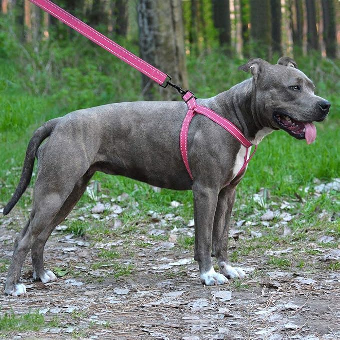 CollarDirect Reflective Dog Harness Step in Small Medium Large for Outdoor Walking, Comfort Adjustable Harnesses for Dogs Puppy Pink Black Red Purple Mint Green Orange Blue (Small, Pink)