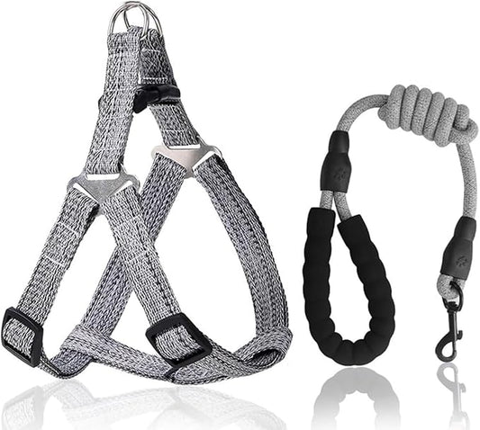 Dog Harness and Leash Set, No Pull Soft Mesh Pet Harness, Adjustable Puppy Vest for Small Medium Large Dogs (Gray, S)