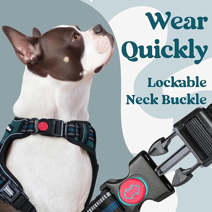 rabbitgoo Dog Harness Medium Sized, No Pull Pet Harness with 3 Buckles, Adjustable Soft Padded Dog Vest with Instant Control Handle, Easy Walking Reflective Pet Vest for Medium Dogs, Blue Coral, M