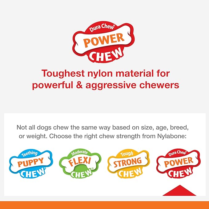 Nylabone Power Chew Textured Ring Dog Toy, Dog Chew Toys for Aggressive Chewers, Winter Green Flavor, Small/Regular - Up to 25 lbs. (1 Count)