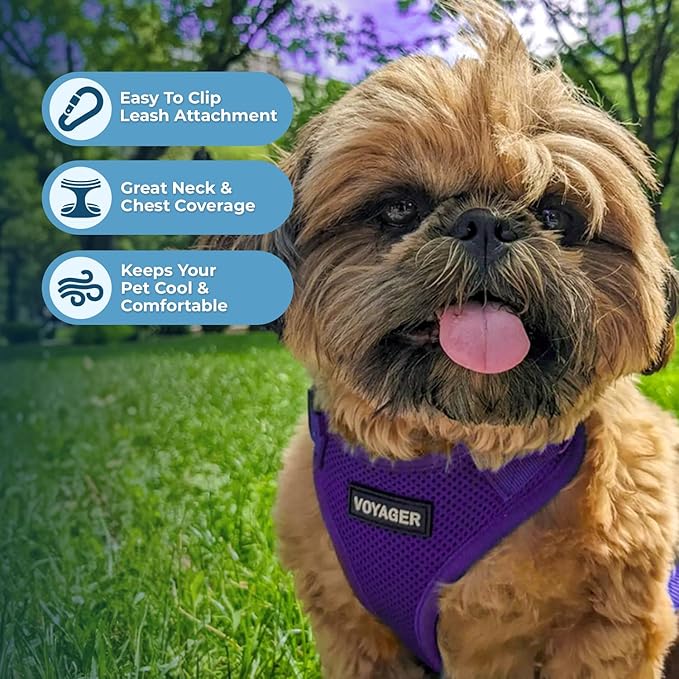 Voyager Step-in Lock Dog Harness w Reflective Dog Leash Combo Set with Neoprene Handle 5ft - Supports Small, Medium and Large Breed Puppies/Cats by Best Pet Supplies - Purple, XL