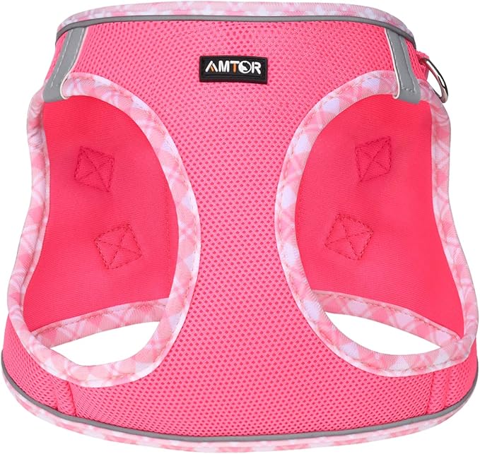 AMTOR Small Dog Harness with Leash Set, No Escape Easy Walk Puppy Harnesses for Training Walking, Step-in Reflective Soft Dogs Vest for XS S Medium Extra-Small Large Sized Dog(Fuchsia,XL)
