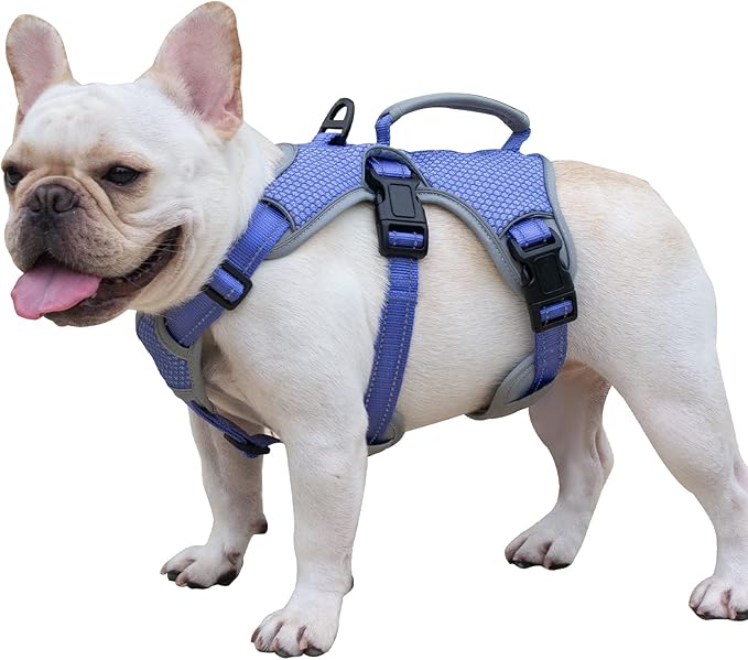 Escape Proof Dog Harness, Escape Artist Harness, Reflective Dog Harness with Handle, Durable,Adjustable Vest for Small Medium Large Dogs Walking, Training, and Running Gear(Technicolor Blue,S)
