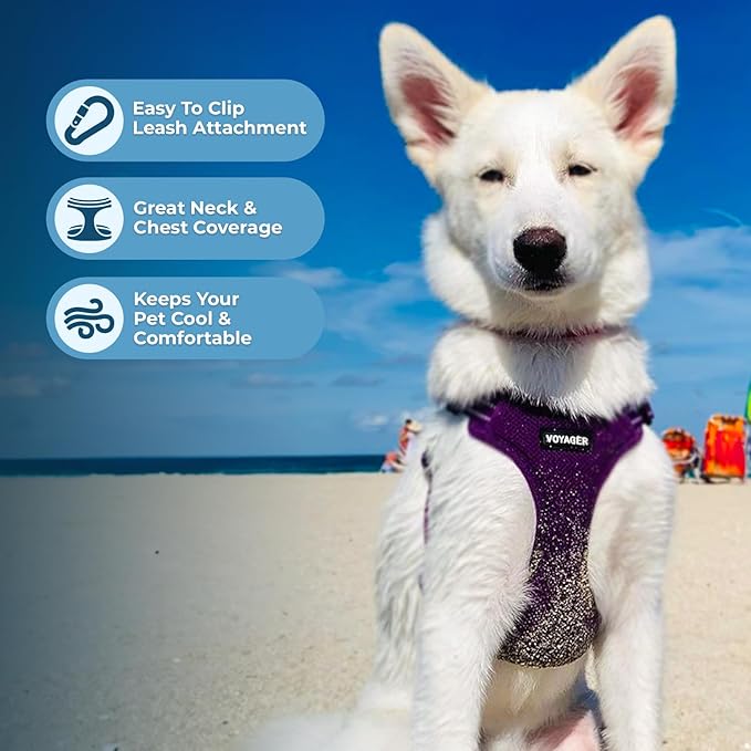 Best Pet Supplies Voyager Adjustable Dog Vest Harness Breathable No Pull Harness for Small, Medium, Large Dogs, Heavy Duty Harness for Walking, Jogging, Easy Step-in, Reflective Stripes - (Purple), S