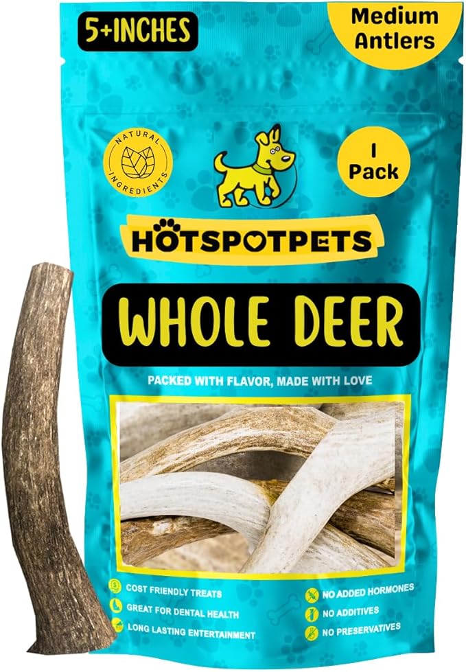 hotspot pets Premium Medium Whole Deer Antlers for Dogs - 5+ Inch Medium Sized Deer Antler Dog Chews - Naturally Shed for Small and Medium Breed Aggressive Chewers - Sourced in USA (Pack of 1)